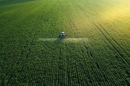 el niño la niña agricultura