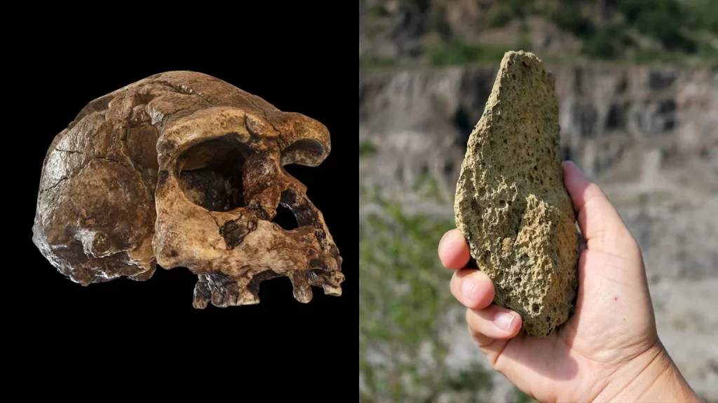 As ferramentas provavelmente foram produzidas pelos Homo erectus (Crédito: Puwadol Jaturawutthichai/Shutterstock.com, Roman Garba)