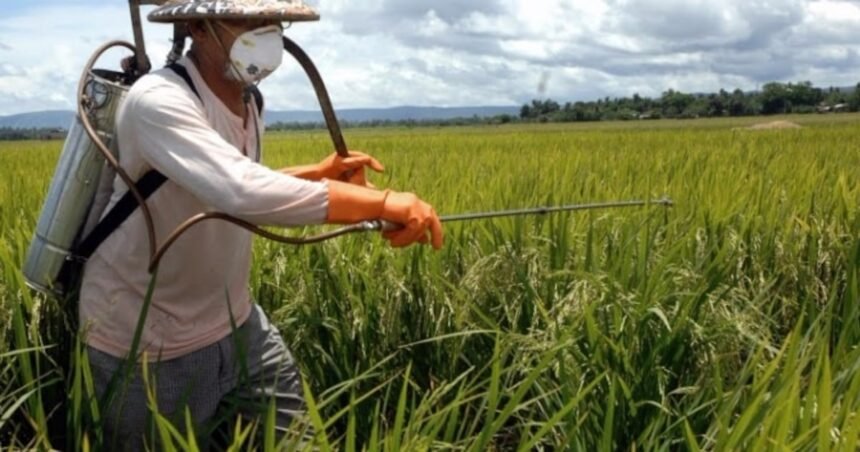 Mudanças climáticas ameaçam a saúde de pelo menos 70% dos trabalhadores do mundo, diz ONU