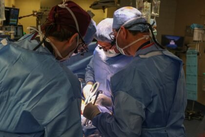Paciente com rim de porco transplantado sai do hospital e vai para casa