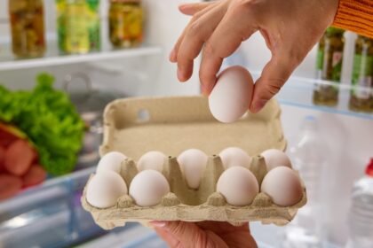 Devemos lavar os ovos antes de armazená-los? Como saber se estragaram? Onde guardá-los? Tire dúvidas
