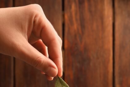 Woman putting bay leaf into cup of freshly brewed tea at grey table, closeup