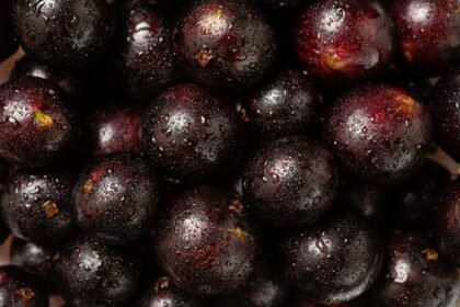 5 motivos para comer jabuticaba