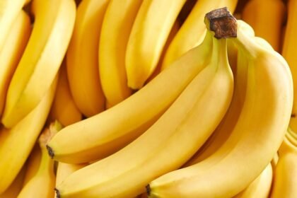 Quais as diferenças entre os tipos de banana? Conheça