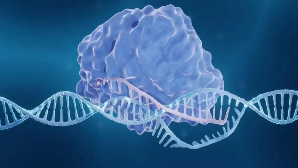 Crispr - Engenharia Genética