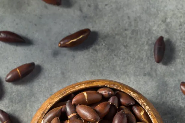 Raw Brown Organic Brazilian Baru Nuts in a Bowl